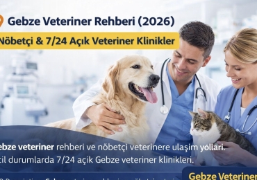 Gebze Veteriner Rehberi (2026) | Nöbetçi & 7/24 Açık Veteriner Klinikler