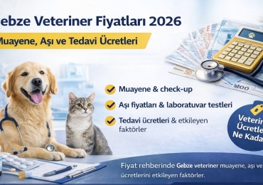 Gebze Veteriner Fiyatları 2026 | Muayene, Aşı ve Tedavi Ücretleri