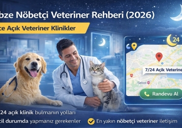 Gebze Nöbetçi Veteriner Rehberi (2026) | Gece Açık Veteriner Klinikler