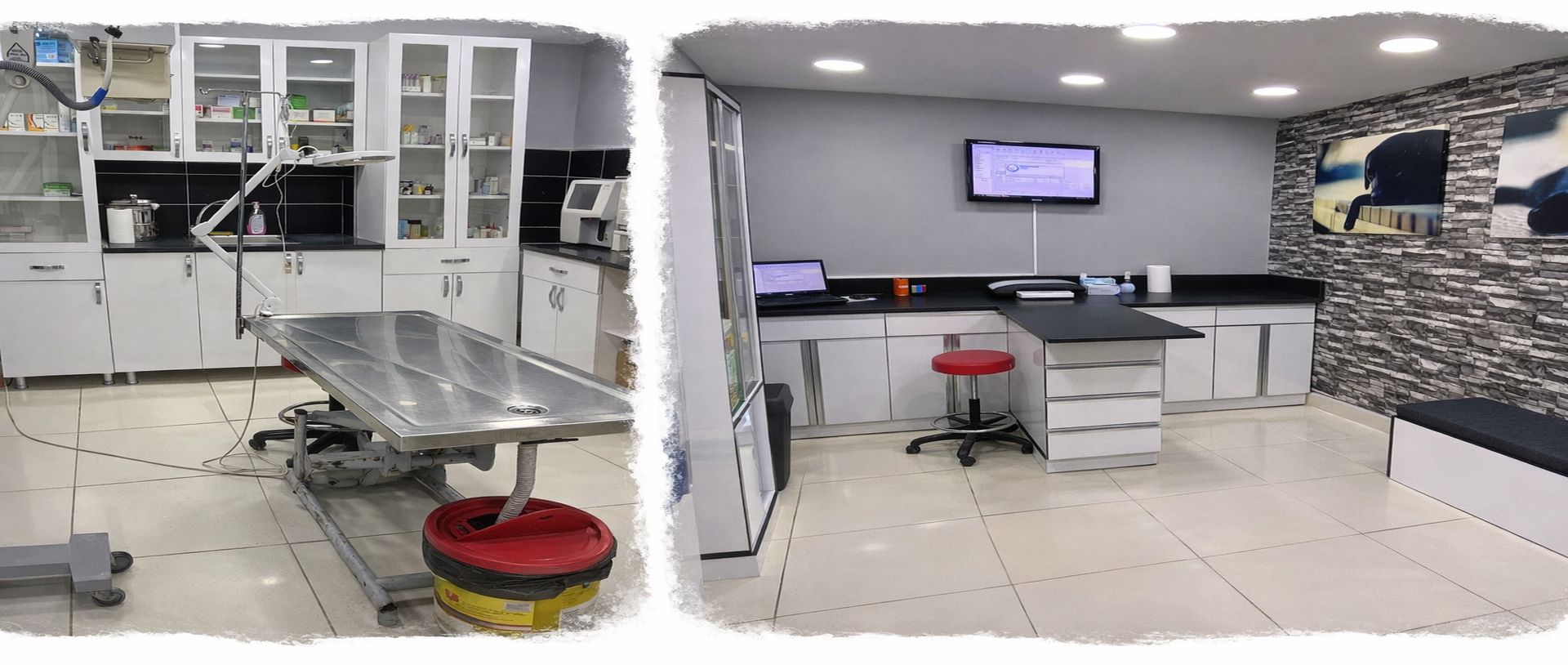 gebze veteriner klinigi